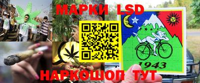 ГАЛЛЮЦИНОГЕННЫЕ ГРИБЫ Тара