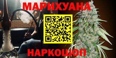 ГАЛЛЮЦИНОГЕННЫЕ ГРИБЫ Тара