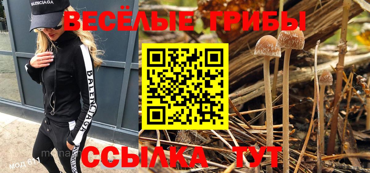 Галлюциногенные грибы мицелий  Вход с VPN  Псилоцибиновые грибы Magic Shrooms  Отрадное 